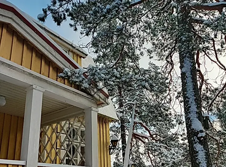 asiakaskokemuksia-kauniainen